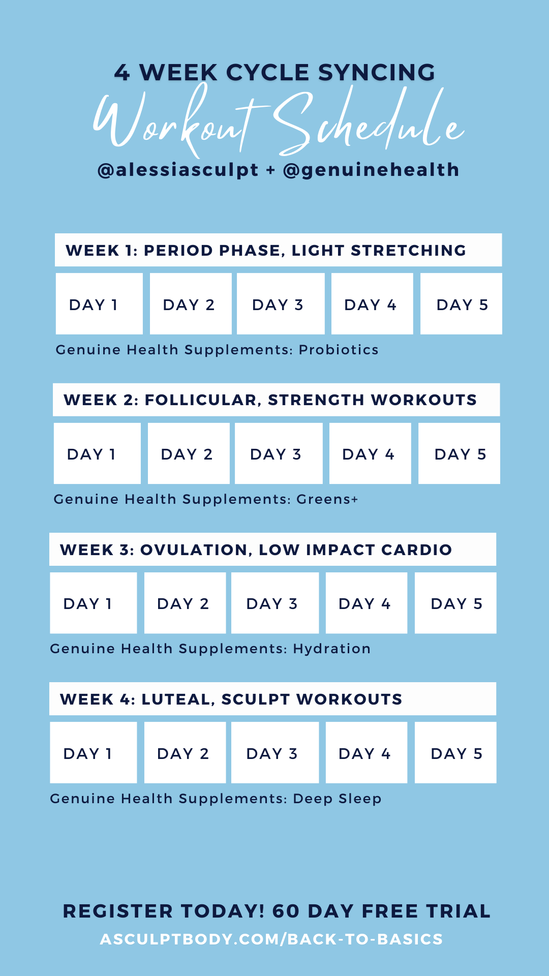 4 Week Cycle Syncing Program - A Sculpt Body